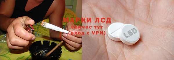 ГАЛЛЮЦИНОГЕННЫЕ ГРИБЫ Белоозёрский