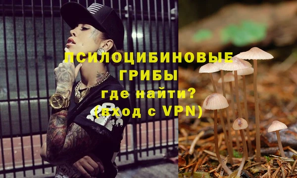 мескалин Белокуриха