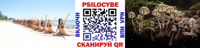 Галлюциногенные грибы MAGIC MUSHROOMS Борисоглебск